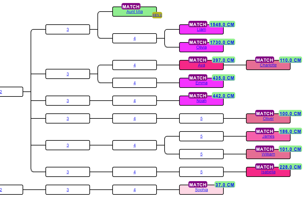 Reconstructed AutoKinship tree showing predicted numbered ancestral nodes at the top and the DNA matches at the leaves, each annotated with cM values