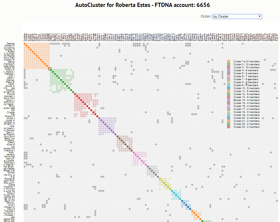 One of the first FTDNA AutoCluster results for Roberta Estes, showing an early diagonal cluster chart with coloured blocks along the diagonal