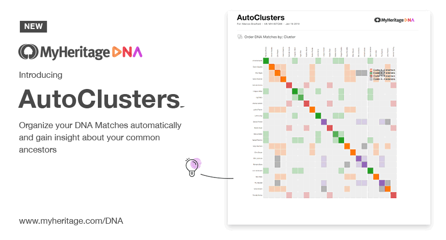 Animated AutoCluster result embedded in the MyHeritage platform