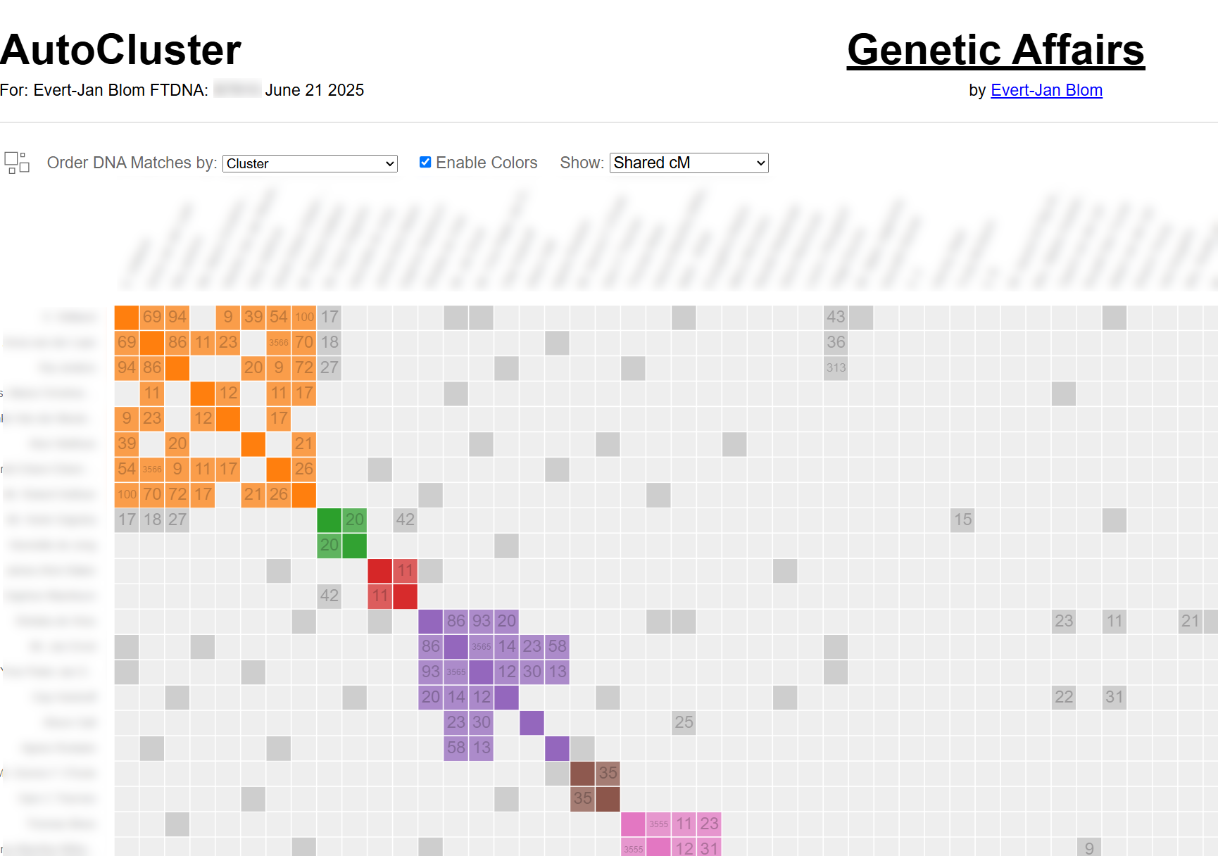 AutoCluster chart with cM values shown inside the coloured shared-match cells, revealing the relationship structure within each cluster