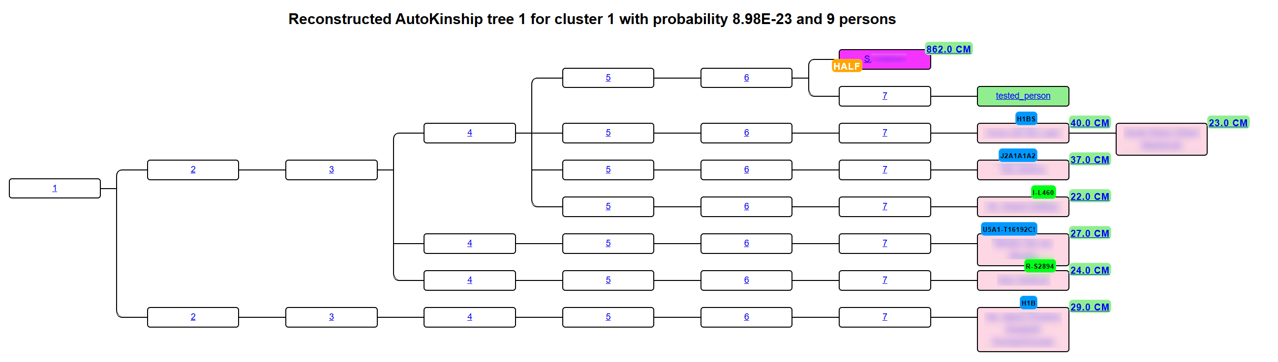 Reconstructed AutoKinship tree for cluster 1 with 9 persons and branching generations, numbered 1 through 7, descending to DNA matches with cM labels
