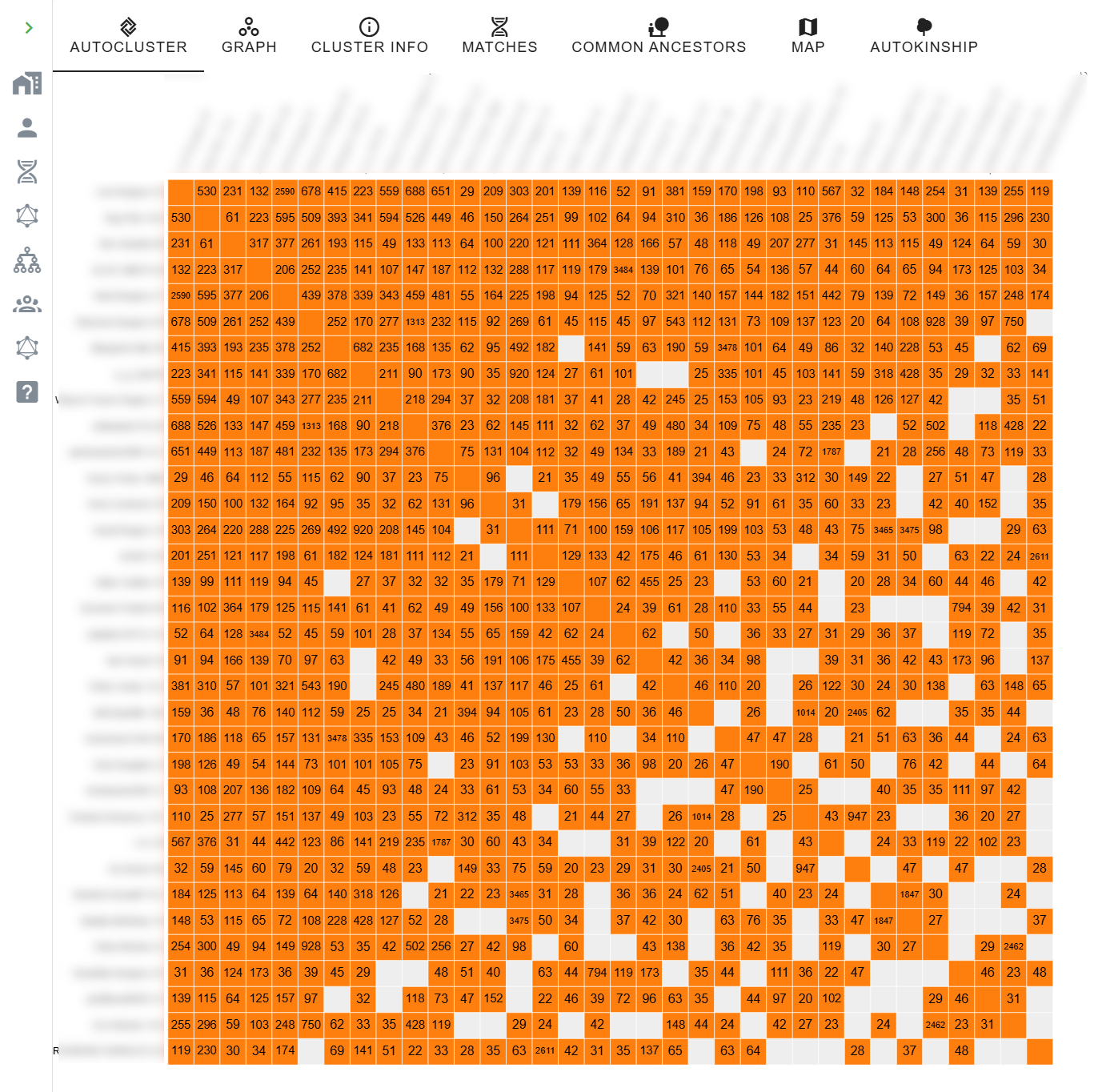 Matrix of shared cM values between every pair of matches in a cluster, colour-coded by strength
