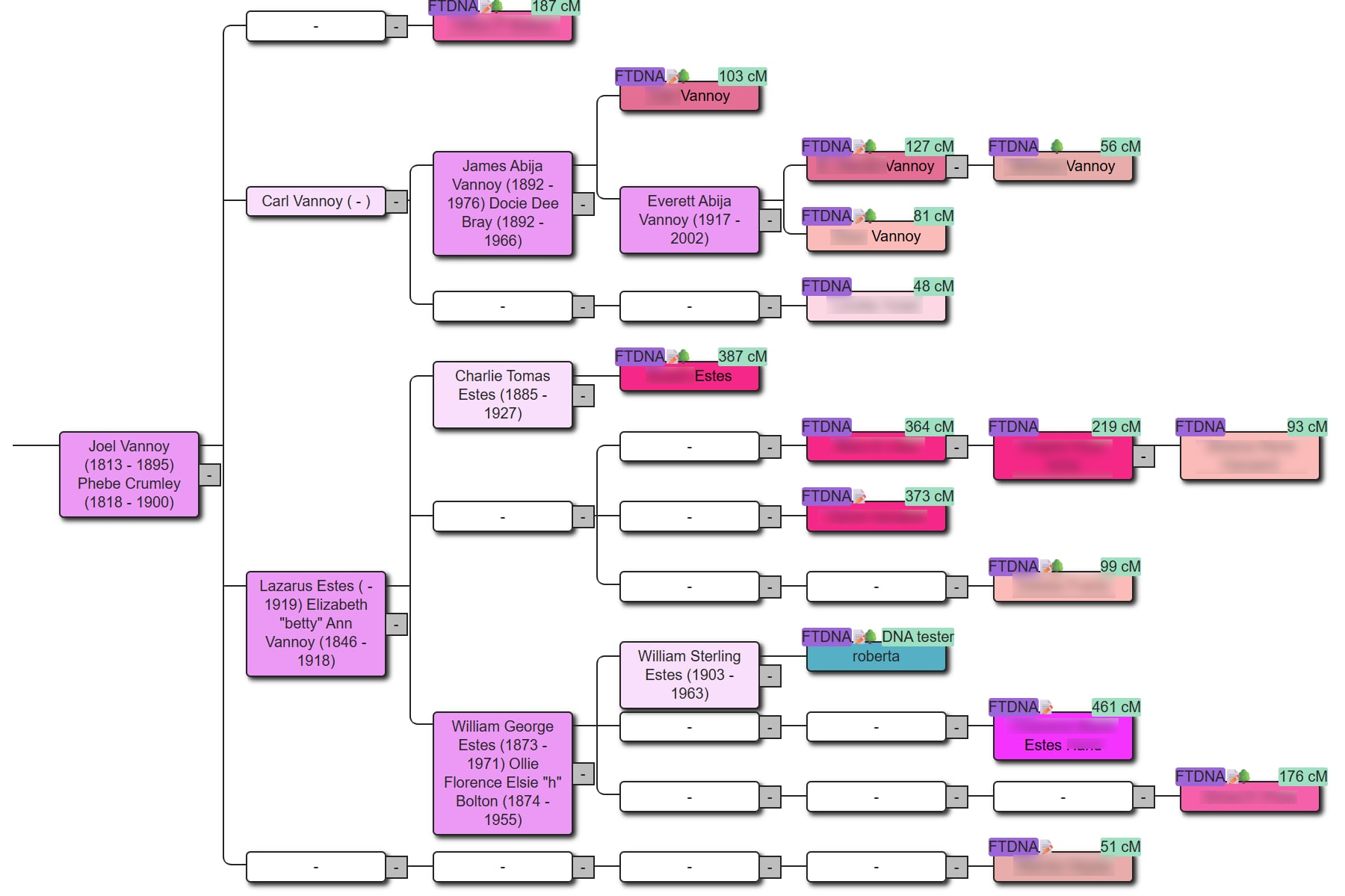 Reconstructed tree in AutoLineage with a common ancestral couple at the root and DNA match nodes annotated with cM values and MRCA labels